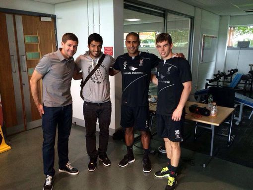 Suarez-Melwood