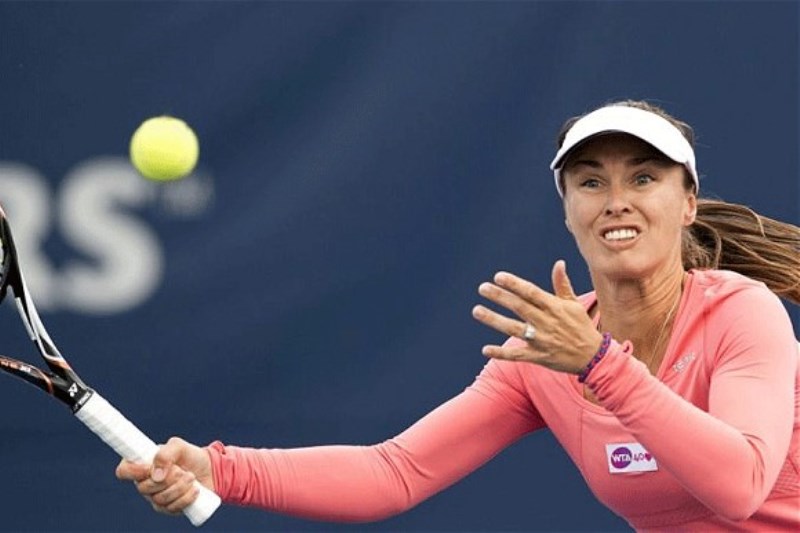 hingis 2643016b