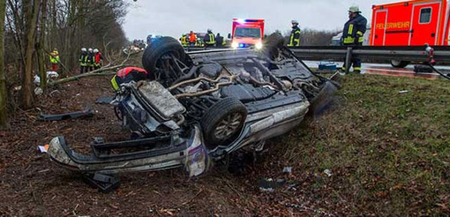 1029597 af791413e6c43a73e1d79df1eb460cd5 640x640