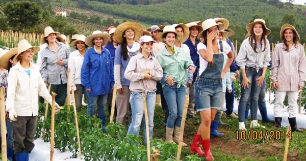 noiva-do-cordeiro