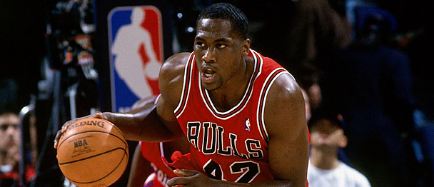 elton-brand-bulls