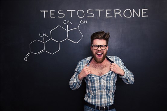 TestosteroniXimiko