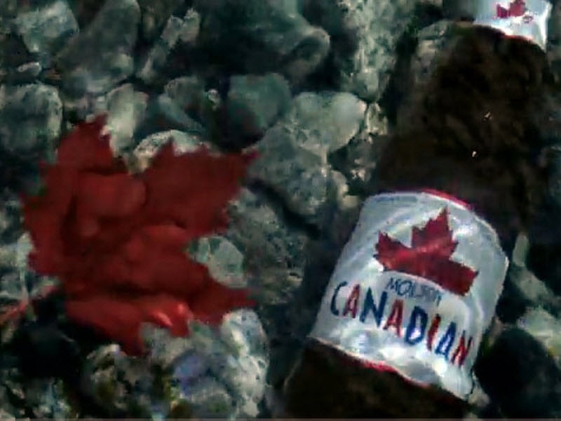 Χορηγία μαμούθ