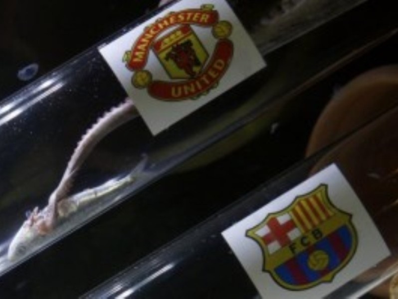 Το χταπόδι «μίλησε»