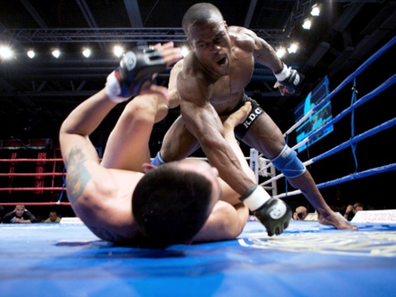 Νέος Σκανδιναβός στο UFC