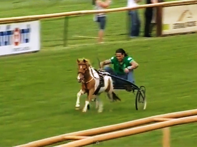 Μικρό μου… πόνι!