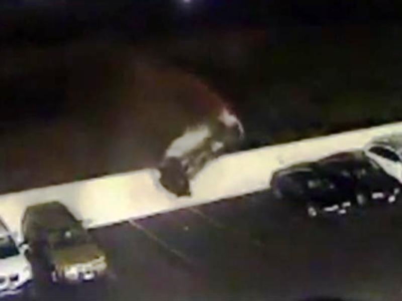 Πρωτότυπο παρκάρισμα