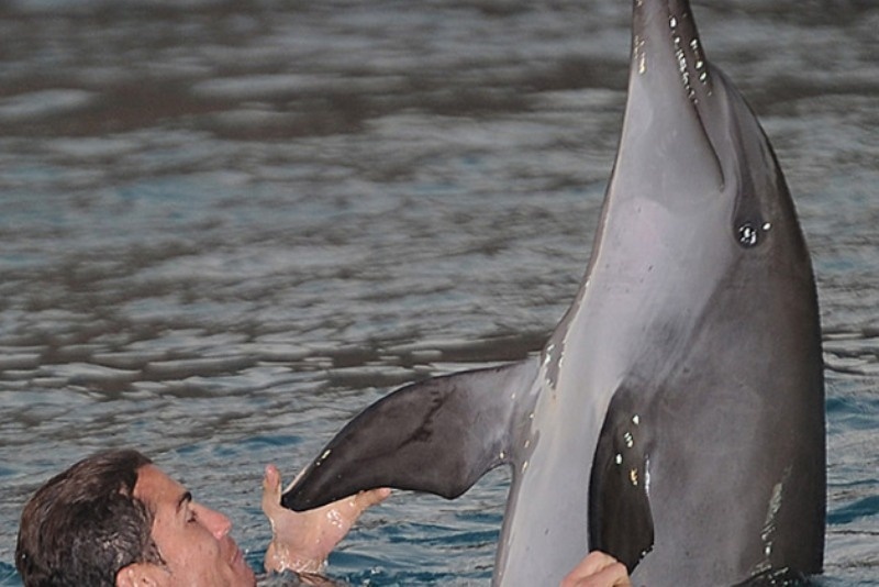 Ο Ρονάλντο και το... δελφίνι!