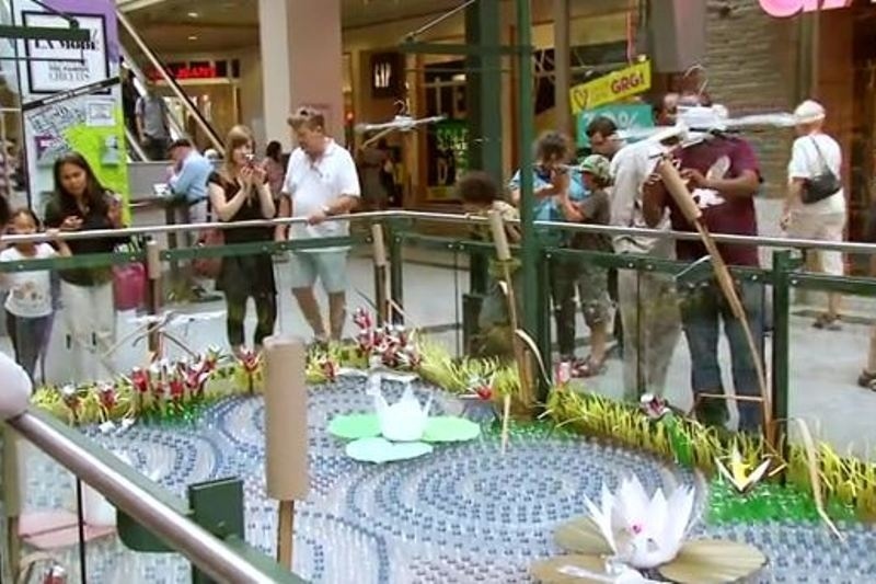 Τα οικολογικά νούφαρα: μια καλλιτεχνική εγκατάσταση