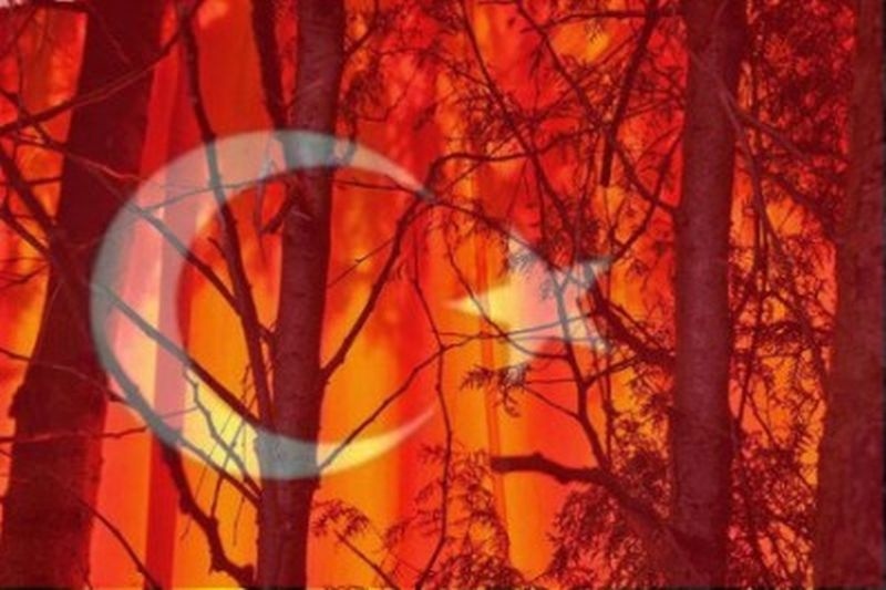 Φέρνουν Τούρκους για να προστατεύσουν τα δάση μας!