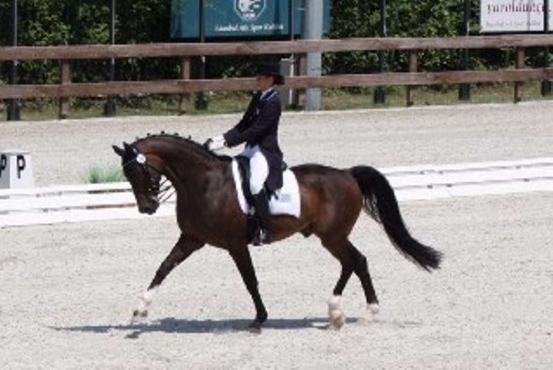 Πρωταθλήτρια Ιππικής Αντοχής η Τρικαλιώτη