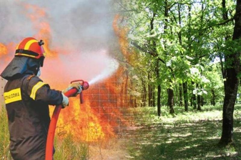Δασοπυρόσβεση με... νεροπίστολα