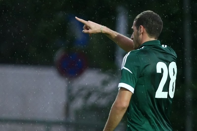 Τα τριφύλλια του Πετρόπουλου