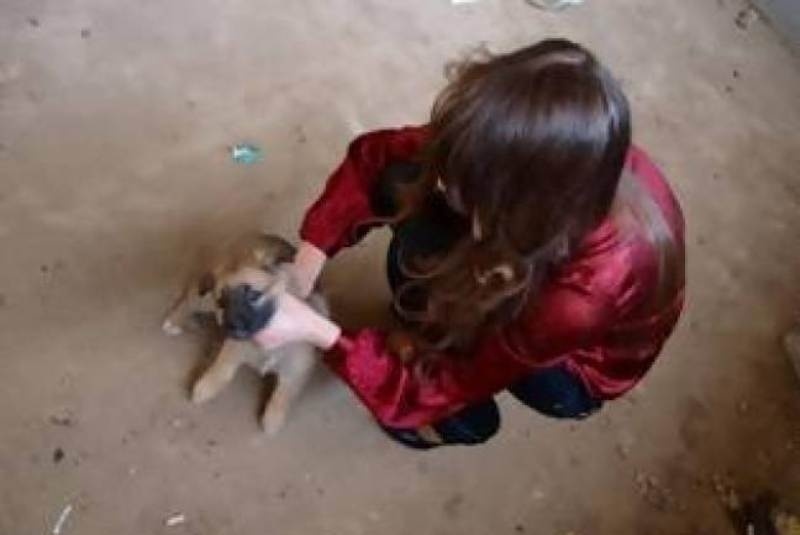 Μοντέλο σκοτώνει κουτάβι σε φωτογραφική επίδειξη! (photos)