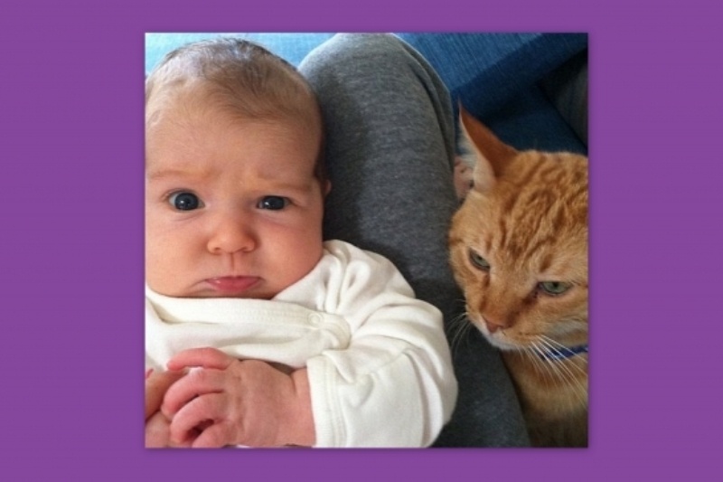 Ούτε να βλέπει τη γάτα!