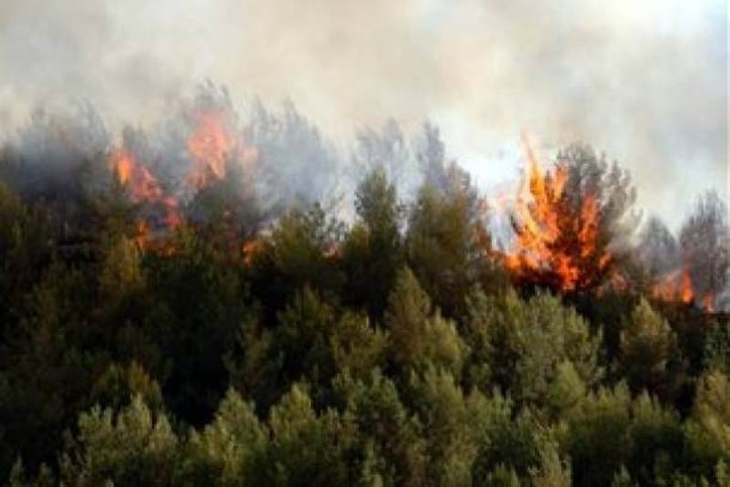 Πυρκαγιά σε δασική έκταση στην Κορινθία!