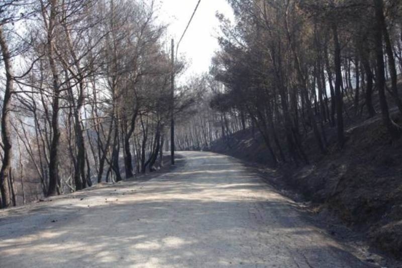 Προσπάθειες αποκατάστασης της ηλεκτροδότησης στον Άγιο Στέφανο