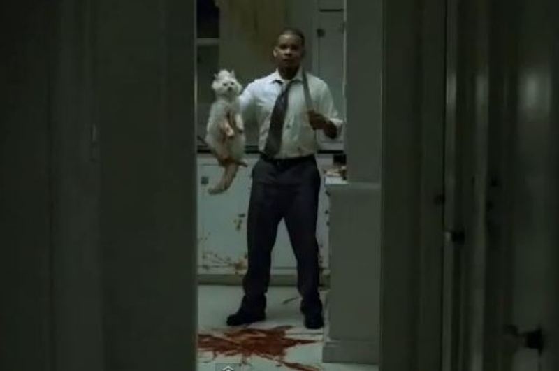 Της ετοίμαζε για δείπνο τη γάτα της! (video)