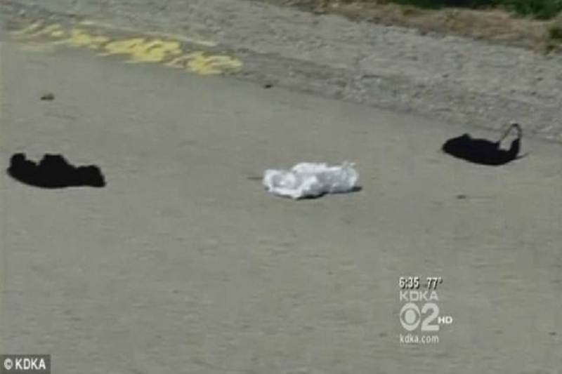 Πέταγε τα εσώρουχά της στο δρόμο για να την εκδικηθεί!