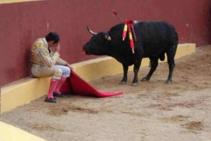 Η φωτογραφία που έχει συγκινήσει το Facebook