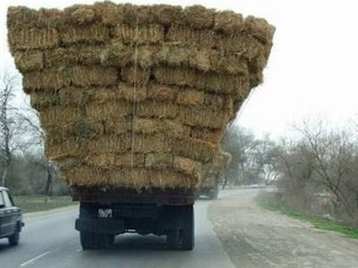 Εκπληκτικό: Οδηγός... αχυράνθρωπος προκαλεί γέλιο!