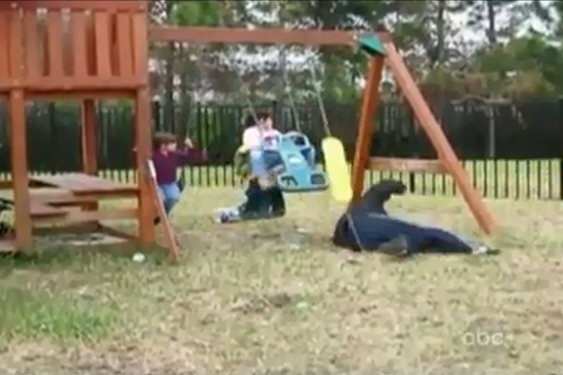 Απίστευτες πτώσεις σε οικογενειακά παιχνίδια (Video)