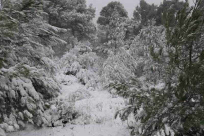 Χιόνια ακόμα και στην Αττική σήμερα!