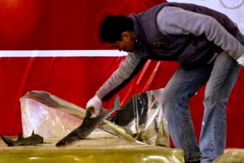 Πέφτει, πέφτει το... ενυδρείο!