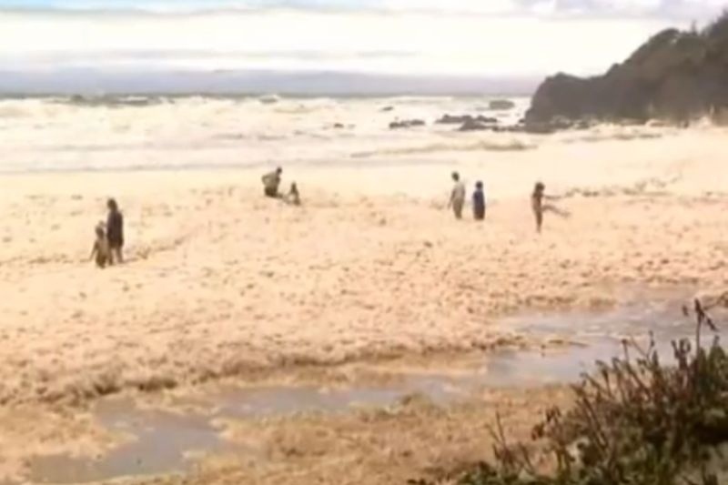 Παραλία της Αυστραλίας έβγαλε... αφρούς (Video)