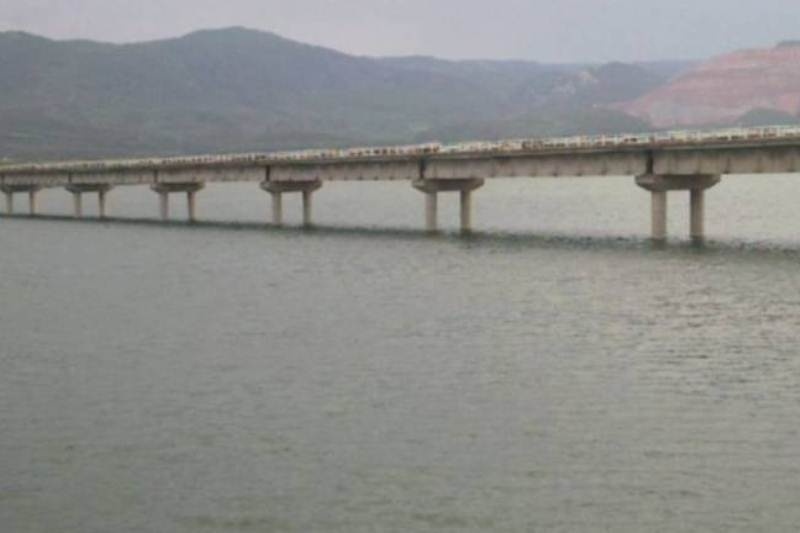 Τραγικό τέλος για φοιτήτρια που πήγε βόλτα το σκύλο της