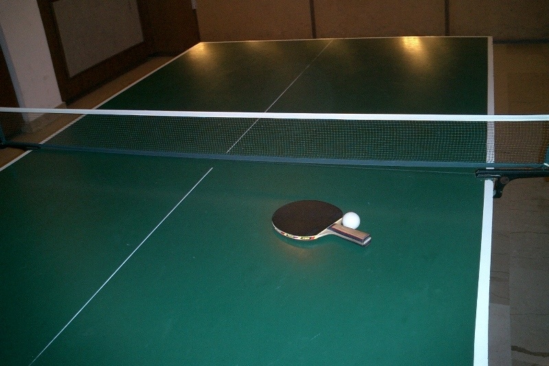 Πινγκ Πονγκ: Προκρίσεις για Αγγελίνα και Γιάννη Παπαδάκη