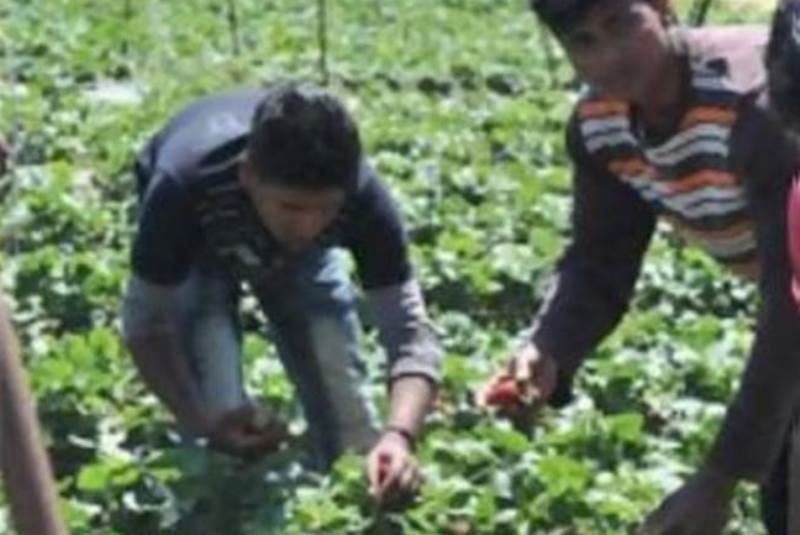 Συγκέντρωση συμπαράστασης στους εργάτες της Μανωλάδας