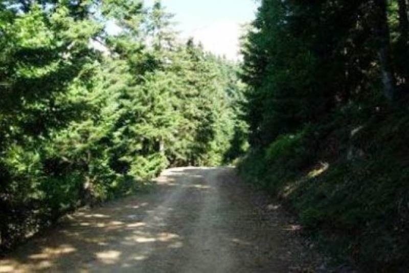 Απαγορεύτηκε η κυκλοφορία στα δάση της Αρκαδίας