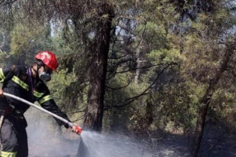 Υπό έλεγχο η πυρκαγιά κοντά στο αεροδρόμιο Θεσσαλονίκης