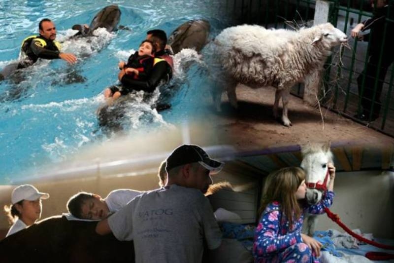 10 ζώα που... κάνουν καλό στην υγεία του ανθρώπου!