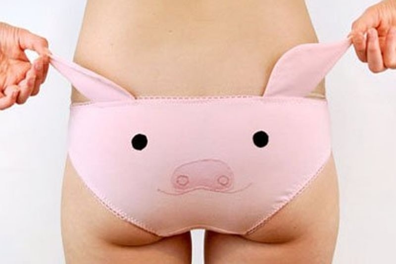 Εσώρουχα εμπνευσμένα από ζωάκια με... αυτάκια!