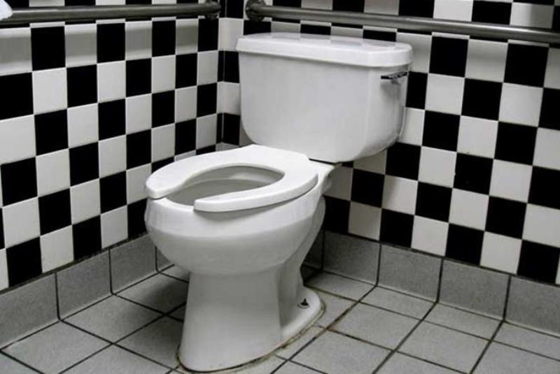 Πώς οι τουαλέτες άλλαξαν τον κόσμο!