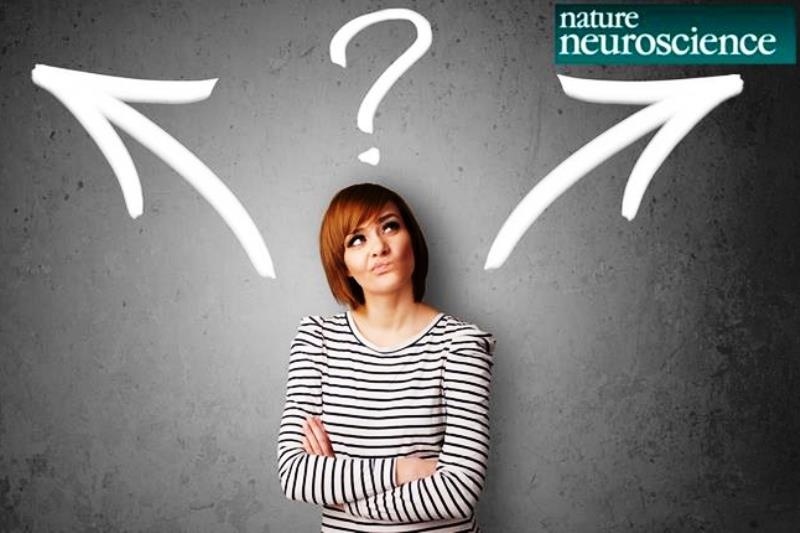 Ανακάλυψαν την περιοχή του εγκεφάλου που καθορίζει τη λήψη αποφάσεων