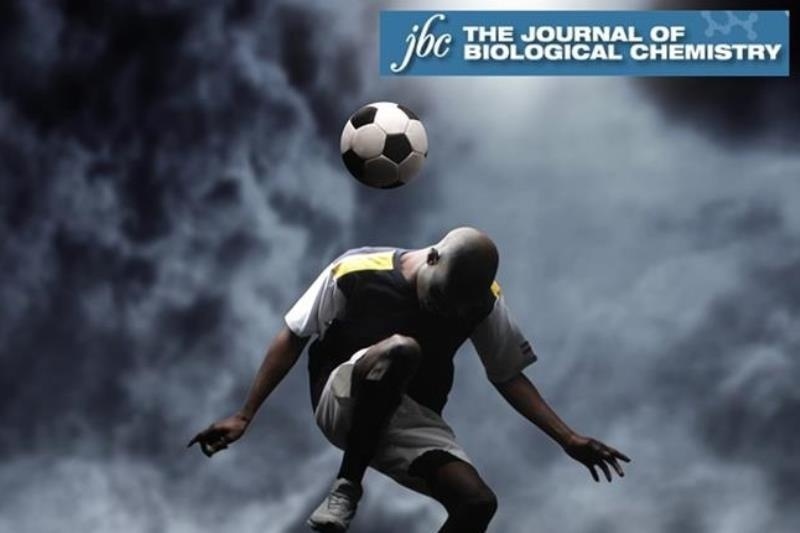 Το Αλτσχάιμερ χτυπά συχνότερα τους αθλητές