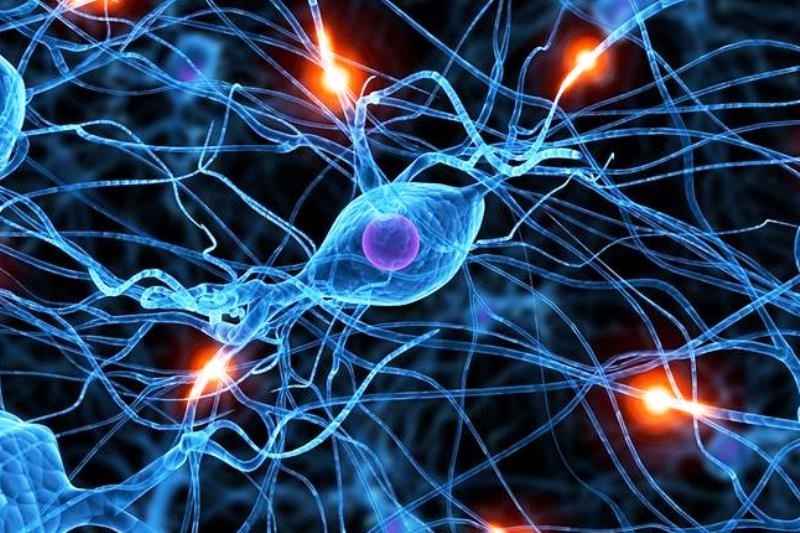 Πώς το internet κρατά τον εγκέφαλο σε εγρήγορση