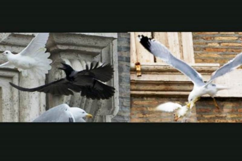 Η ανατριχιαστική σκηνή που «πάγωσε» όλο τον κόσμο!