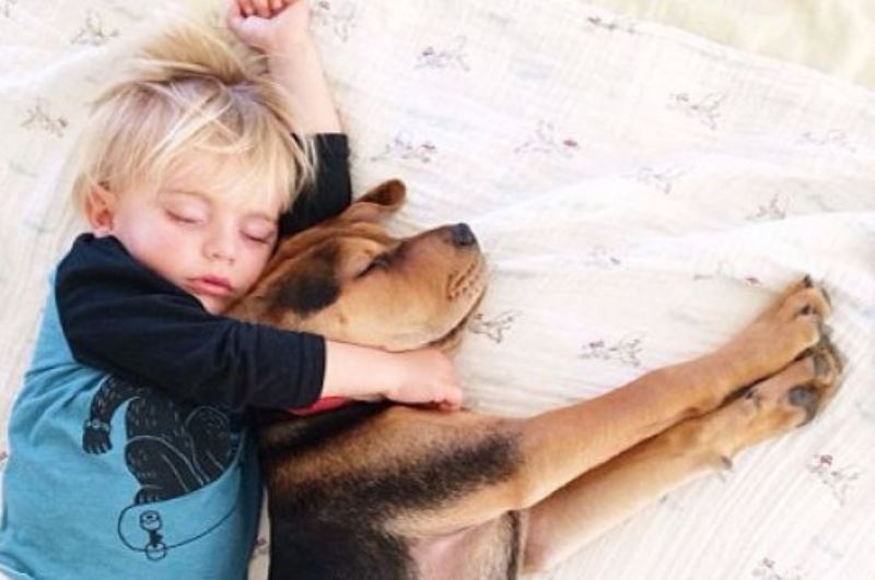 Το κουταβάκι και το αγοράκι που κοιμούνται παρέα σε νέες περιπέτειες! (εικόνες)