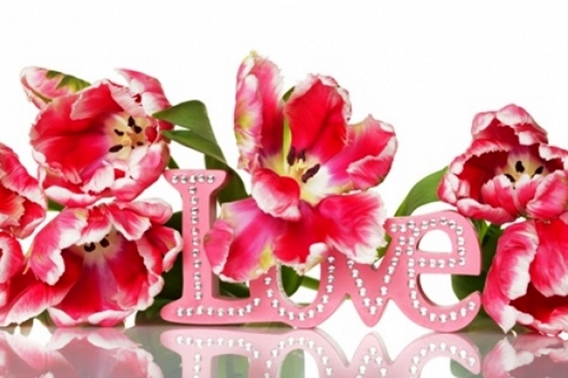 Το ερωτικό ωροσκόπιο 28/2