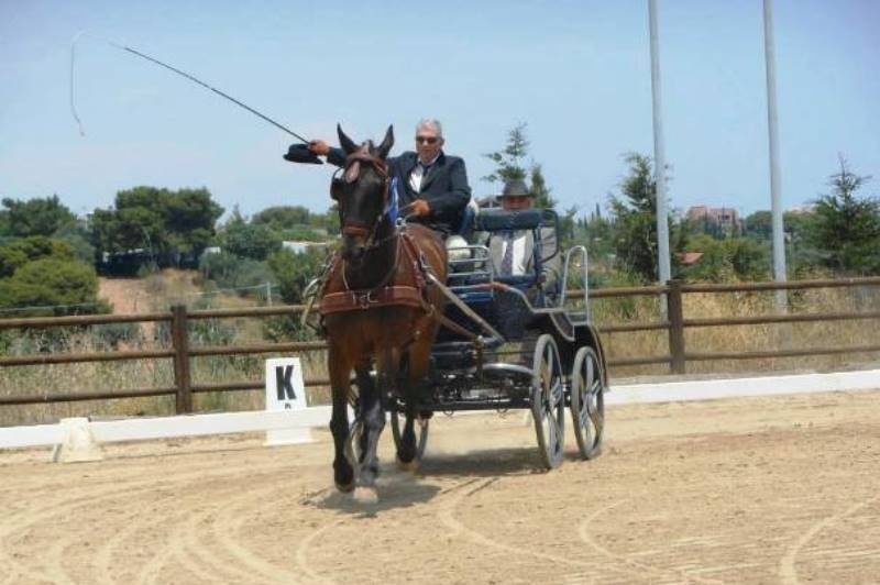 Αμαξοδήγηση: Οι Πανελλήνιοι Αγώνες στο Μαρκόπουλο