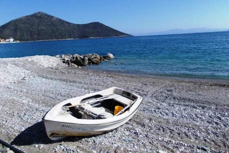 Ψαράς έπιασε δροσίτη 120 κιλών στον Τύρο Αρκαδίας (photos)