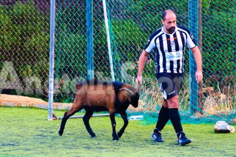 Τρελή εισβολή... τράγου σε ποδοσφαιρικό γήπεδο (video)