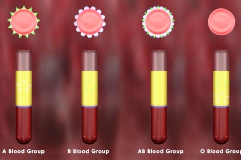 Ποια είναι η «καλύτερη» ομάδα αίματος
