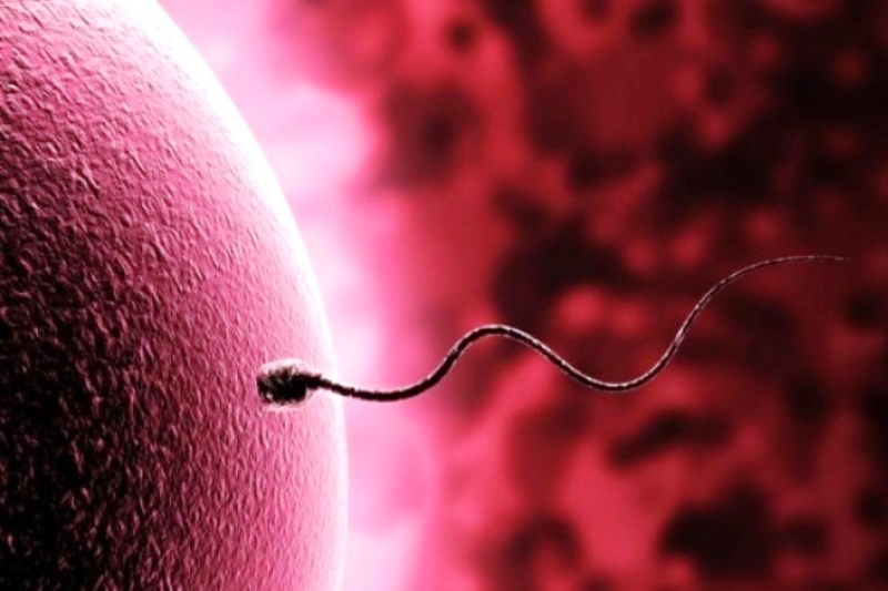 Πόσο ζει το σπέρμα μέσα στον κόλπο