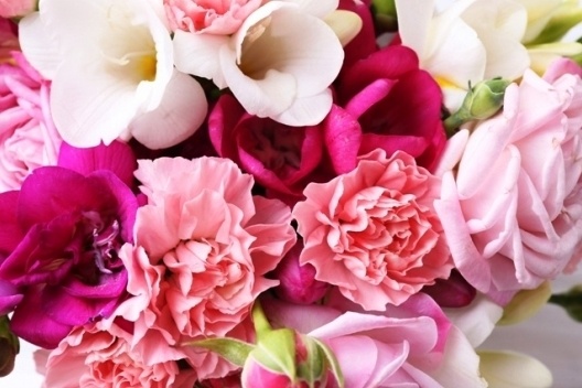 Ποιο λουλούδι αντιστοιχεί στο ζώδιό σου;