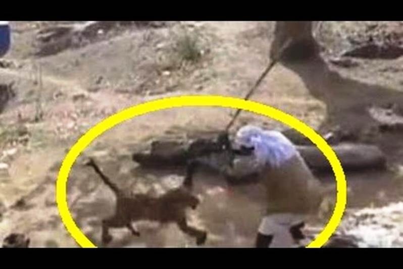 Συγκλονιστικό βίντεο: Η άνιση μάχη ενός Ινδού με μία… λεοπάρδαλη! (video)